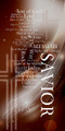 The names of Jesus series includes church banners that serve as visual focal points for worship. This series utilizes word clouds for the many names and titles of Jesus. These banners feature bold lettering and vibrant imagery, transforming the worship space and reinforcing sermon series on the divine names of Jesus, such as "Light of the World," "Good Shepherd," and "King of Kings".

And if you want something uniquely yours, contact us! Our design professionals will create a special design with your information - all at no extra charge!