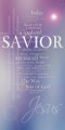 The names of Jesus series includes church banners that serve as visual focal points for worship. This series utilizes word clouds for the many names and titles of Jesus. These banners feature bold lettering and vibrant imagery, transforming the worship space and reinforcing sermon series on the divine names of Jesus, such as "Light of the World," "Good Shepherd," and "King of Kings".

And if you want something uniquely yours, contact us! Our design professionals will create a special design with your information - all at no extra charge!