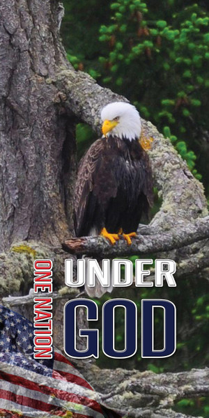 Patriotic church banners blend national pride with faith, often featuring American flags, eagles, and slogans like "In God We Trust" or "God Bless America". These banners are used to decorate sanctuaries during holidays like July 4th, Memorial Day, and Veterans Day to promote unity and gratitude.

And if you want something uniquely yours, contact us! Our design professionals will create a special design with your information - all at no extra charge!