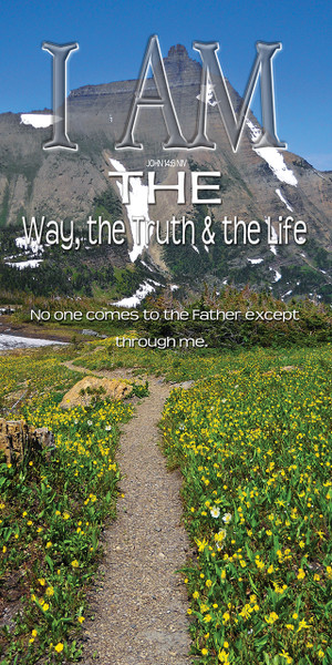 "I Am" banners are designed to promote the biblical "I AM" statements of Jesus Christ, which declare His deity and multifaceted nature. These banners are used to visually reinforce the identity of Jesus, helping congregants focus on who He is and what He has done.

And if you want something uniquely yours, contact us! Our design professionals will create a special design with your information - all at no extra charge!