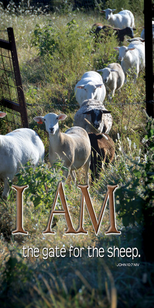 "I Am" banners are designed to promote the biblical "I AM" statements of Jesus Christ, which declare His deity and multifaceted nature. These banners are used to visually reinforce the identity of Jesus, helping congregants focus on who He is and what He has done.

And if you want something uniquely yours, contact us! Our design professionals will create a special design with your information - all at no extra charge!