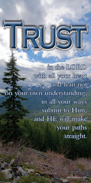 Inspirational theme banners serve as visual tools for your church to foster a welcoming environment, enhance worship experiences, and reinforce the spiritual messages of sermon series or liturgical seasons. These banners are used both indoors to enhance the sanctuary and outdoors for community outreach, acting as "encouragers".

And if you want something uniquely yours, contact us! Our design professionals will create a special design with your information - all at no extra charge!