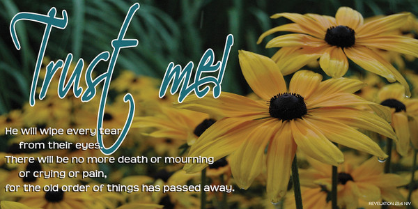 Inspirational theme banners serve as visual tools for your church to foster a welcoming environment, enhance worship experiences, and reinforce the spiritual messages of sermon series or liturgical seasons. These banners are used both indoors to enhance the sanctuary and outdoors for community outreach, acting as "encouragers".

And if you want something uniquely yours, contact us! Our design professionals will create a special design with your information - all at no extra charge!