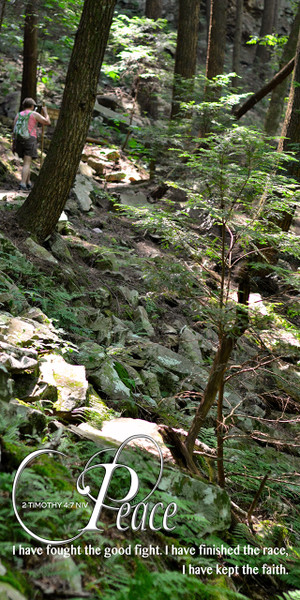 Motivational theme banners are designed to inspire, encourage, and spiritually uplift congregants and visitors. These banners feature powerful Bible verses, uplifting quotes, and thematic phrases to promote a hopeful tone for worship.

And if you want something uniquely yours, contact us! Our design professionals will create a special design with your information - all at no extra charge!