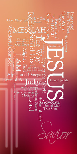 The names of Jesus series includes church banners that serve as visual focal points for worship. This series utilizes word clouds for the many names and titles of Jesus. These banners feature bold lettering and vibrant imagery, transforming the worship space and reinforcing sermon series on the divine names of Jesus, such as "Light of the World," "Good Shepherd," and "King of Kings".

And if you want something uniquely yours, contact us! Our design professionals will create a special design with your information - all at no extra charge!