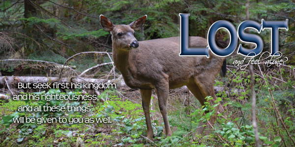 Church Banner featuring Deer/Mountains with Inspirational Message