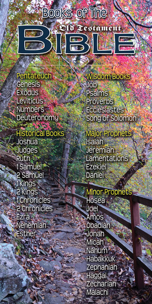 Banner series featuring church education and Bible training with visual tools designed to promote learning, discipleship, and spiritual growth. These are commonly posted in educational areas, foyers, and fellowship halls.

And if you want something uniquely yours, contact us! Our design professionals will create a special design with your information - all at no extra charge!