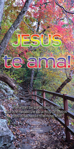 Spanish ministry banners in churches are visual aids designed to welcome, inspire, and engage Spanish-speaking congregations, featuring Scripture verses, liturgical themes, and cultural designs. These banners highlight messages of faith, grace, and community in Spanish.

And if you want something uniquely yours, contact us! Our design professionals will create a special design with your information - all at no extra charge!
