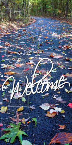 Church welcome banners are visual tools designed to create an inviting atmosphere, directing visitors while communicating key information like service times, the church name, or welcoming messages. Common types include durable outdoor vinyl banners for curb appeal, vertical feather flags, and indoor retractable banners for lobbies.

And if you want something uniquely yours, contact us! Our design professionals will create a special design with your information - all at no extra charge!