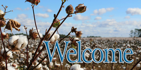 Church welcome banners are visual tools designed to create an inviting atmosphere, directing visitors while communicating key information like service times, the church name, or welcoming messages. Common types include durable outdoor vinyl banners for curb appeal, vertical feather flags, and indoor retractable banners for lobbies.

And if you want something uniquely yours, contact us! Our design professionals will create a special design with your information - all at no extra charge!