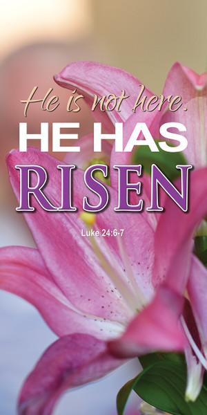 Easter banners promoting church services serve as visual invitations and thematic decorations, featuring uplifting messages like "He is Risen" alongside symbols like crosses and lilies. They are crucial for creating a welcoming atmosphere, providing service times on outdoor vinyl, and encouraging community participation in special Easter events.

And if you want something uniquely yours, contact us! Our design professionals will create a special design with your information - all at no extra charge!