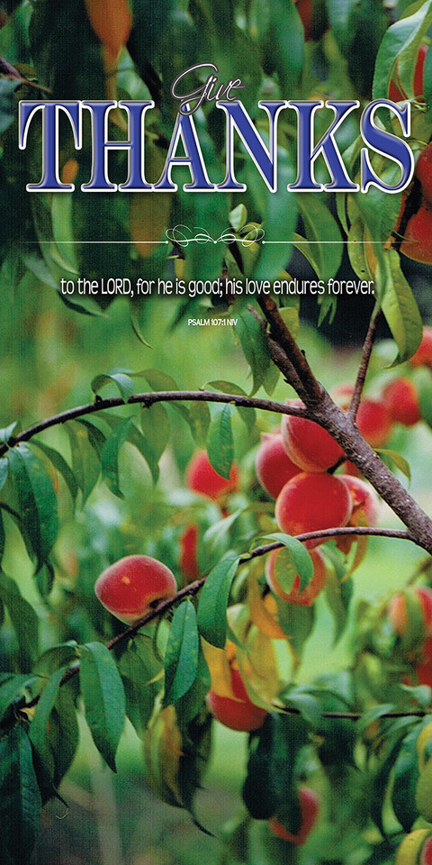 Thanksgiving church service banners promote worship, gratitude, and community gatherings, typically featuring warm autumn colors, harvest imagery, and uplifting Bible verses. Popular designs include phrases like "Give Thanks" designed to create a welcoming atmosphere for parishioners, available in vinyl or fabric options.

And if you want something uniquely yours, contact us! Our design professionals will create a special design with your information - all at no extra charge!