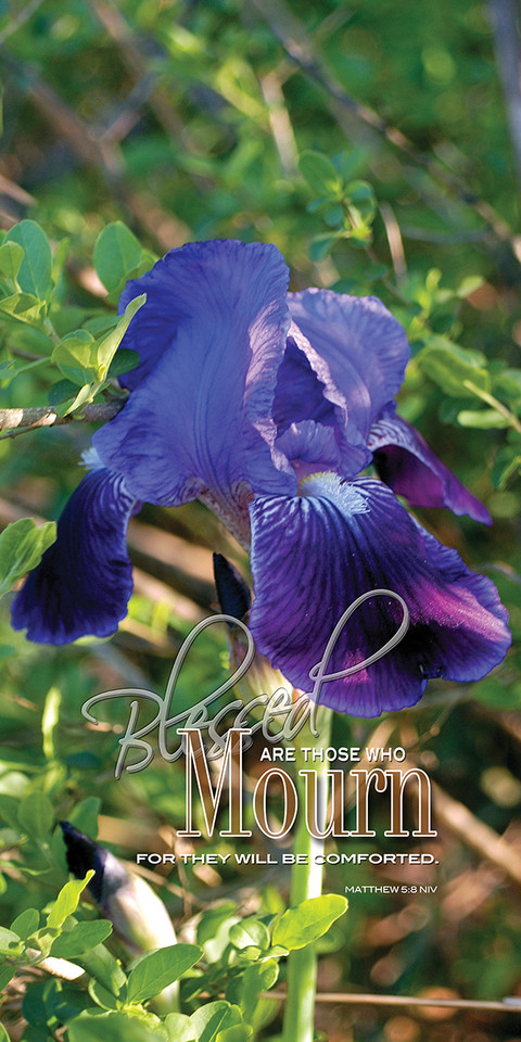 Banners promoting the Beatitudes theme in church services serve as visual, thematic, and educational tools that highlight Jesus’ teaching on the Sermon on the Mount (Matthew 5:3–12). These banners are often used to enhance worship, complement sermon series, and visually define the sanctuary space.

And if you want something uniquely yours, contact us! Our design professionals will create a special design with your information - all at no extra charge!