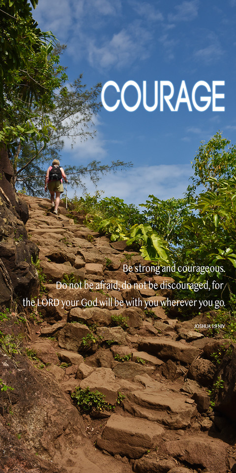 Banners promoting encouraging themes in church services are designed to create a welcoming, uplifting, and spiritually focused atmosphere, enhancing worship through visual messaging. These banners feature uplifting bible verses, themes of love and hope, and vibrant colors to create a positive environment, often serving as focal points for sermon series.

And if you want something uniquely yours, contact us! Our design professionals will create a special design with your information - all at no extra charge!