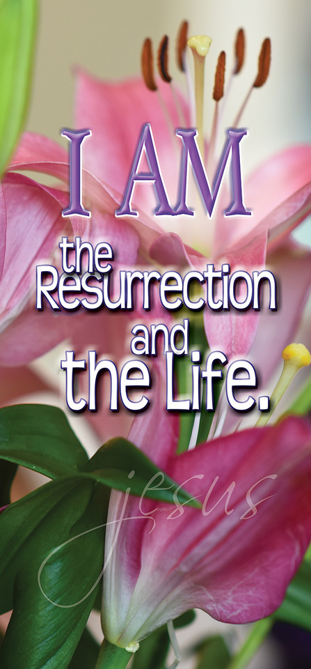 "I Am" banners are designed to promote the biblical "I AM" statements of Jesus Christ, which declare His deity and multifaceted nature. These banners are used to visually reinforce the identity of Jesus, helping congregants focus on who He is and what He has done.

And if you want something uniquely yours, contact us! Our design professionals will create a special design with your information - all at no extra charge!
