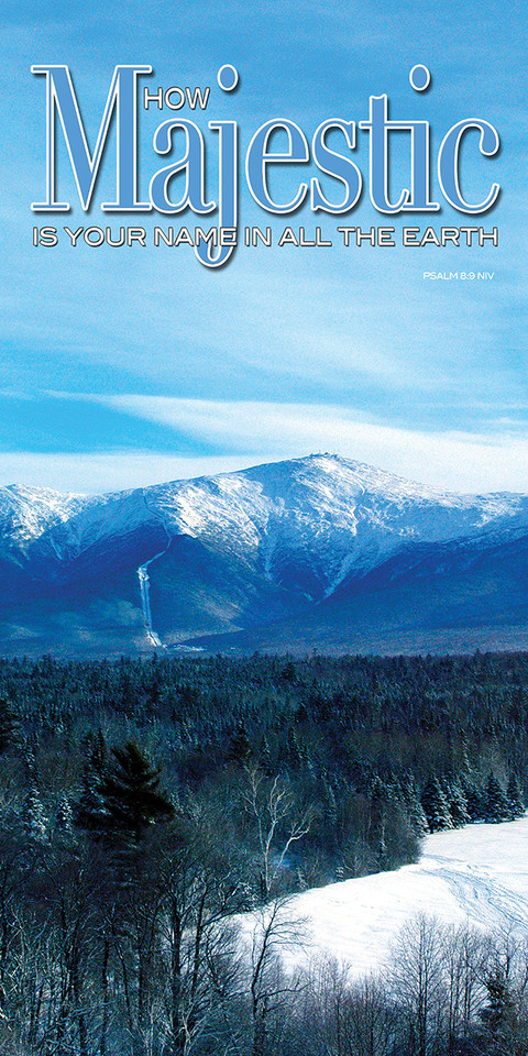 Inspirational theme banners serve as visual tools for your church to foster a welcoming environment, enhance worship experiences, and reinforce the spiritual messages of sermon series or liturgical seasons. These banners are used both indoors to enhance the sanctuary and outdoors for community outreach, acting as "encouragers".

And if you want something uniquely yours, contact us! Our design professionals will create a special design with your information - all at no extra charge!