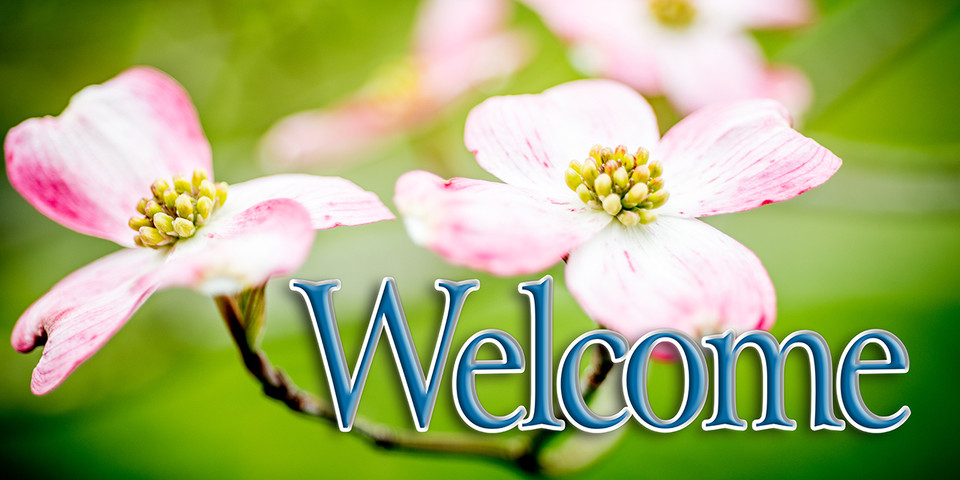 Church welcome banners are visual tools designed to create an inviting atmosphere, directing visitors while communicating key information like service times, the church name, or welcoming messages. Common types include durable outdoor vinyl banners for curb appeal, vertical feather flags, and indoor retractable banners for lobbies.

And if you want something uniquely yours, contact us! Our design professionals will create a special design with your information - all at no extra charge!