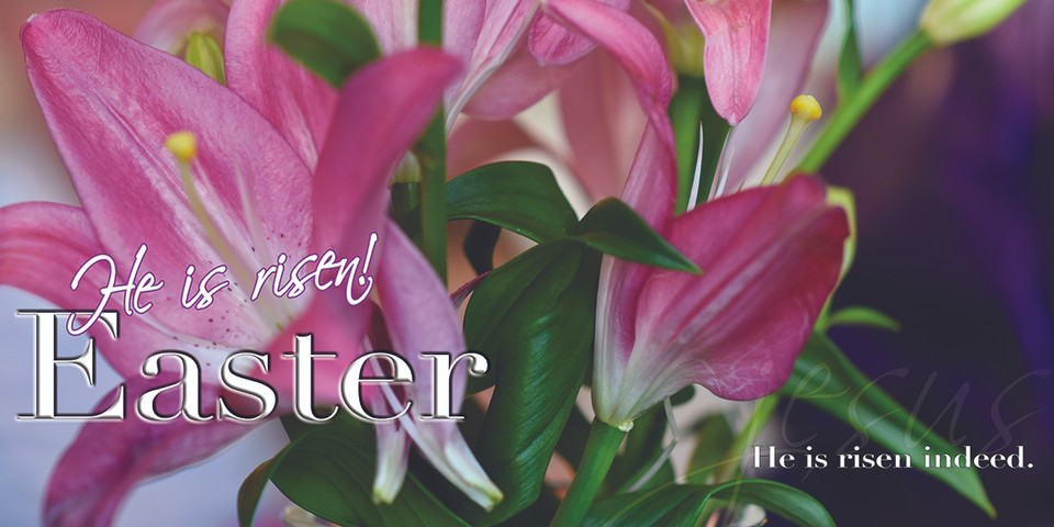 Easter banners promoting church services serve as visual invitations and thematic decorations, featuring uplifting messages like "He is Risen" alongside symbols like crosses and lilies. They are crucial for creating a welcoming atmosphere, providing service times on outdoor vinyl, and encouraging community participation in special Easter events.

And if you want something uniquely yours, contact us! Our design professionals will create a special design with your information - all at no extra charge!