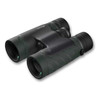 Burris Droptine HD 10x42 Green & Grey