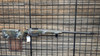 Hardy Rifle Hybrid BA 300 PRC 26in 1:8 Cheek Riser Hybrid Paint