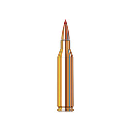 Hornady Superformance .243 Win 95 Grain SST Box/20