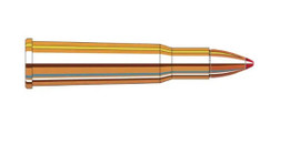 Hornady 348 WIN 200 gr FTX® LEVERevolution® Box/20