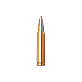 Hornady Frontier Ammo .223 Rem 55 Grain Hollow Point Match Box/20