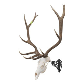 Allen Allen Company EZ Mount Magnum Skull Hanger, Black ALN7223 Shop All Allen ALN7223 Wolverine Supplies