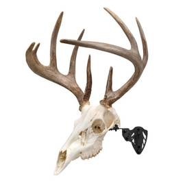 Allen Allen Company EZ Mount Trophy Skull Hanger, Black ALN7254 Shop All Allen ALN7254 Wolverine Supplies