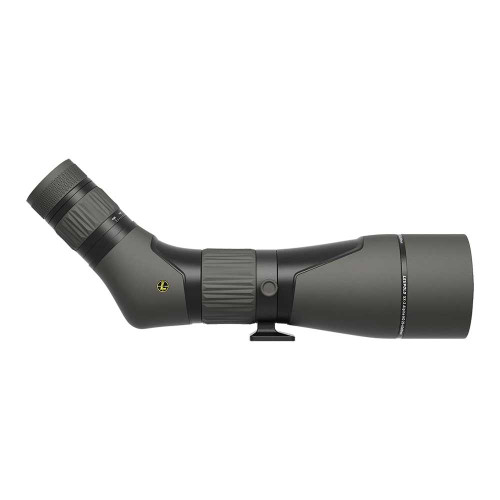 Leupold SX-2 Alpine HD 20-60x80mm Angled Spotting Scope Shadow Grey