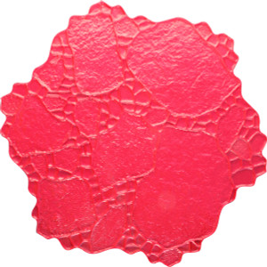 Proline RS145 48" x 48" Grand Garden Stone Stamp