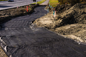 12.5' X 246' Roll Biaxial Geogrid 12.5' X 246' Roll Biaxial Geogrid