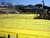 Stego 2014105A 14 x 105 Roll 20 Mil HD Vapor Barrier Class A Stego Industries STG2014105A