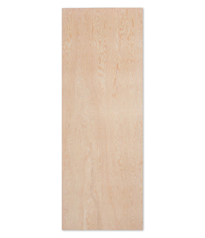 24" x 4' Steel Ply Form Face Replacement Panel