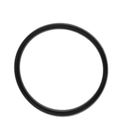 Chapin 6-2421 Top O'Ring for 1949 Sprayers