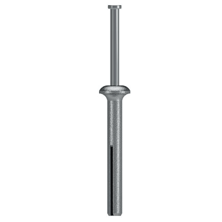 Simpson ZN25200B 1/4 Inch X 2 Inch  Zinc Nailon 1000 Piece Bulk Box