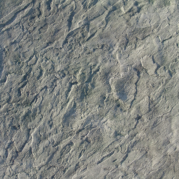 Proline 2BLF 20-Inch x 20-Inch Blue Stone Super Flex Skin