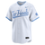 Nike Script Tar Heels Pinstripe Baseball Jersey- White