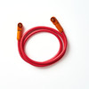 WallMount 100Ah Paralleling Kit - Positive 