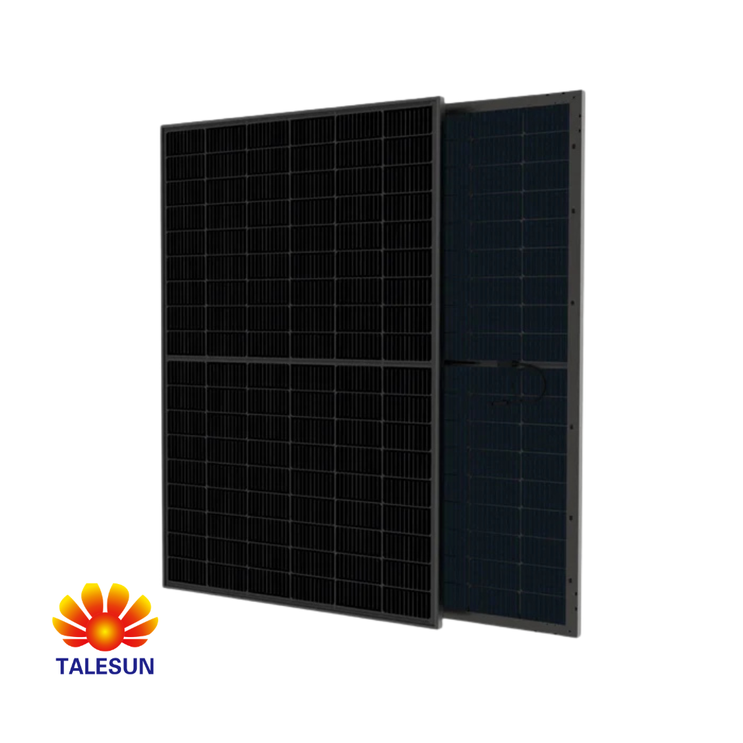Talesun 450W Bifacial Solar Panel