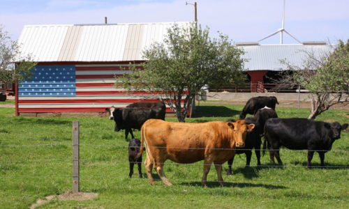 Large rural home with solar panels, pond, and fenced yard. American flag outside of front door.