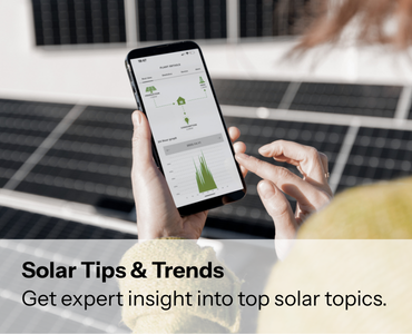 Person looking at their phone in front of solar panels. Get solar tips now!