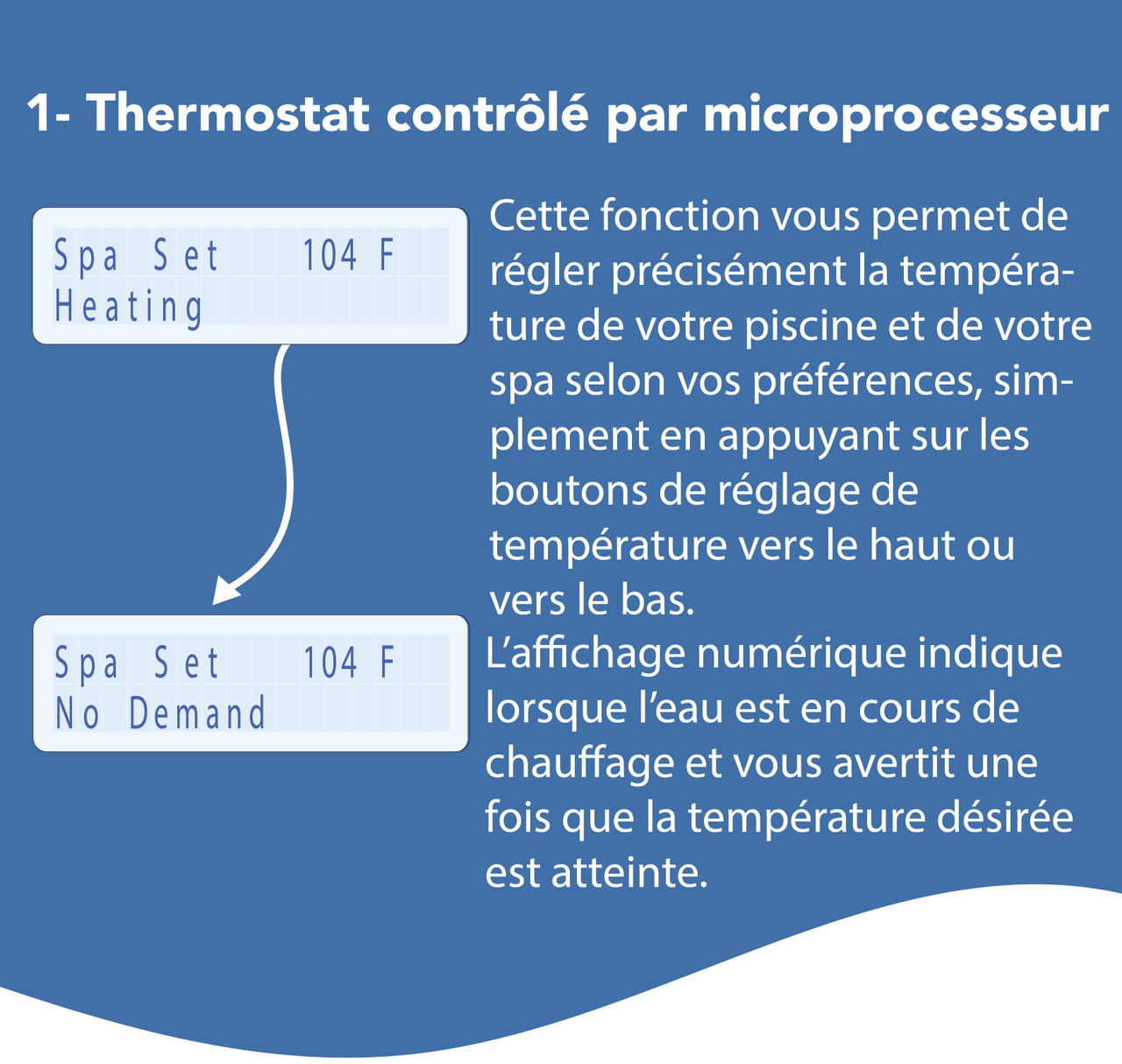 Chauffe-eau au propane électronique RayPak 156A, 150 000 BTU