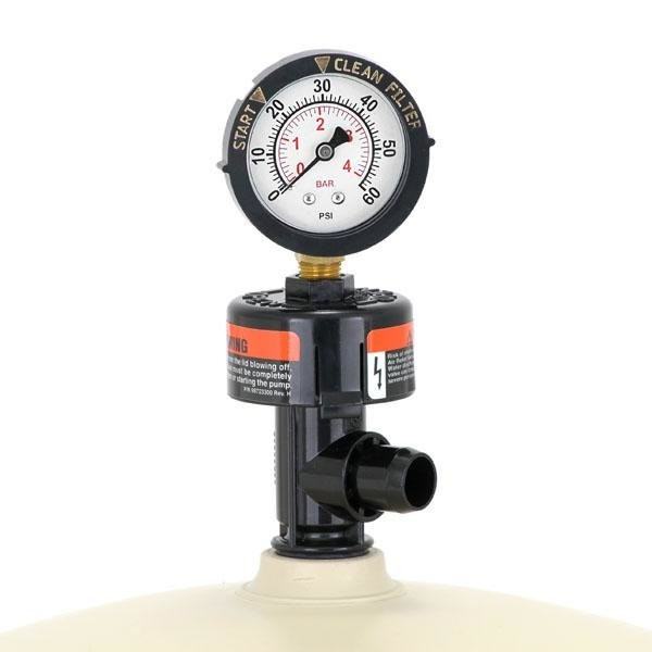 Pentair Clean and Clear Plus CCP420 
