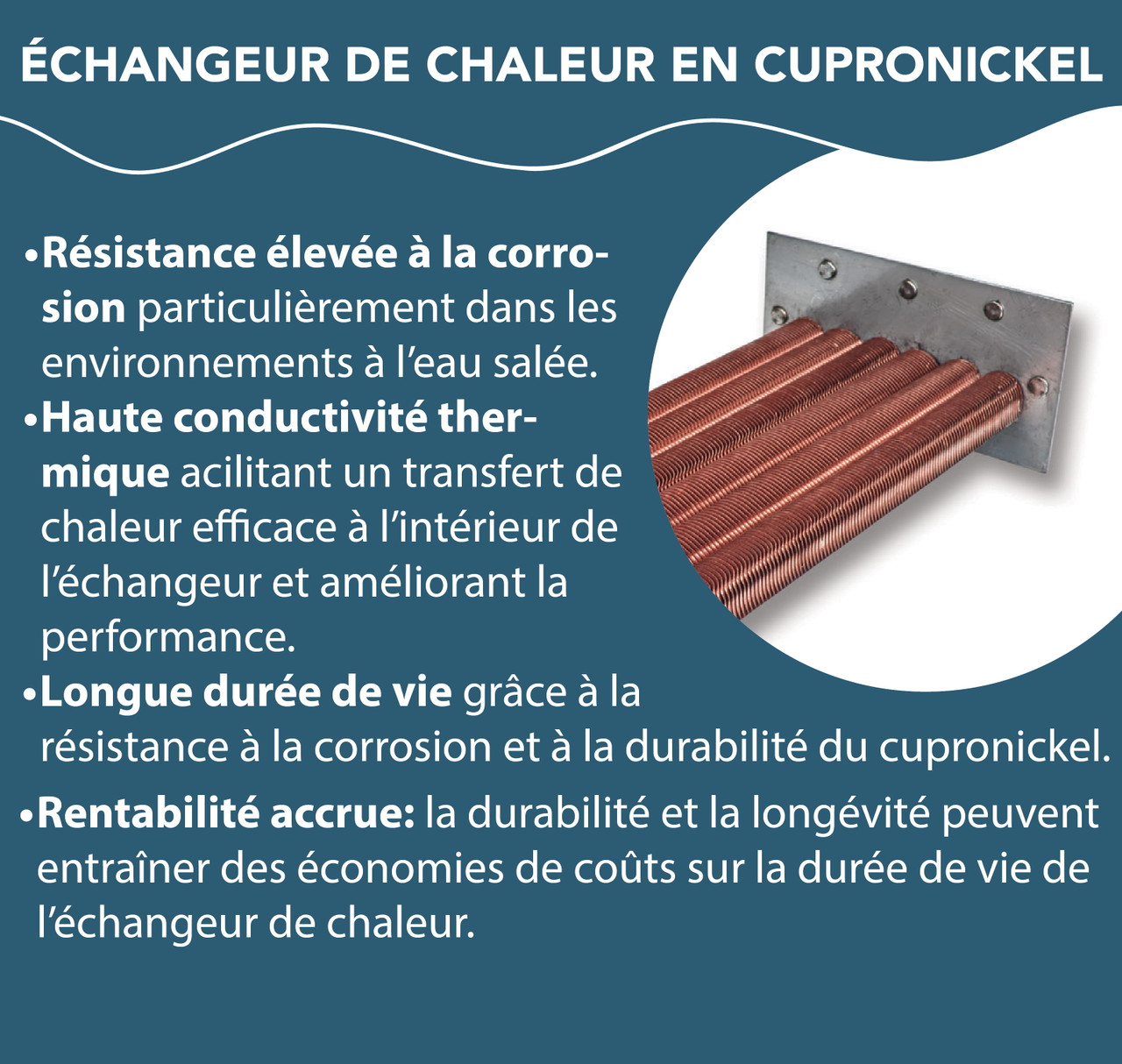 Chauffe-eau au gaz naturel Raypak 206A électronique 199 500 BTU avec échangeur en cupro-nickel