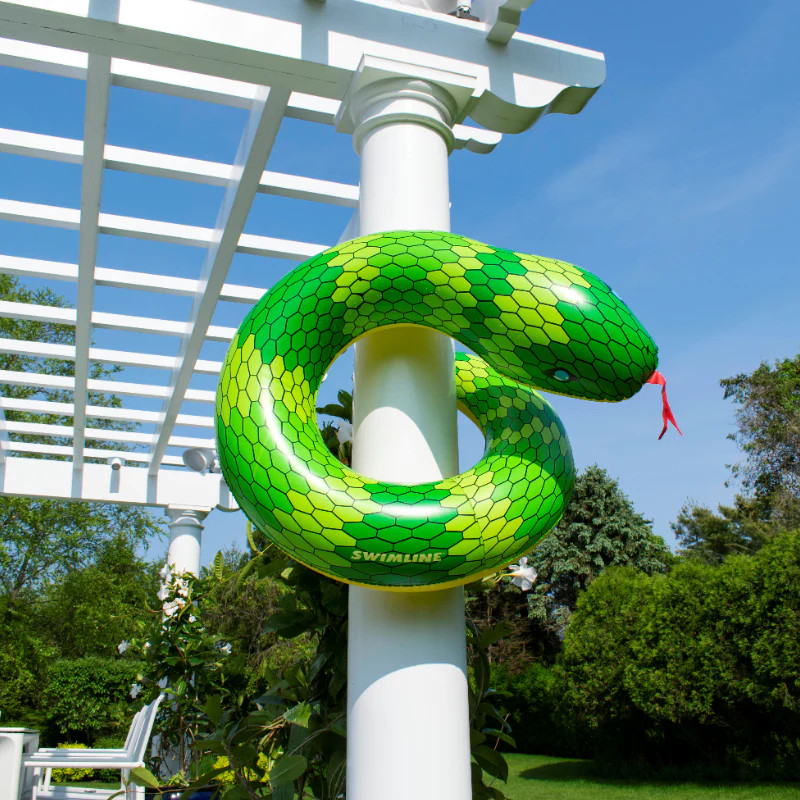 Snake Ring Float