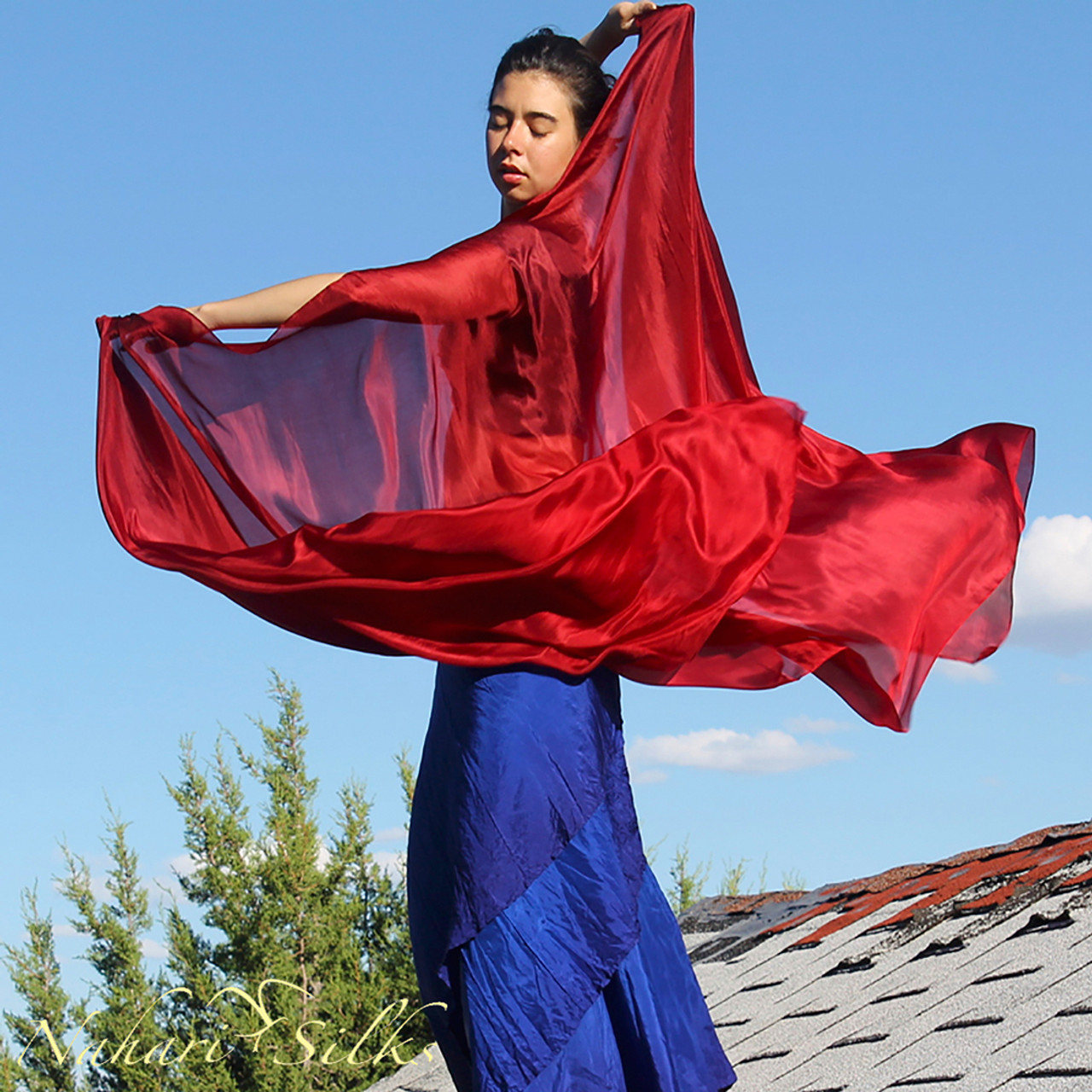 【中古】 Sadie Arab / Belly Dance With Veil bellydance with veil sadie - YouTube