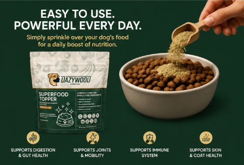 dazywood-dog-food-topper-3-1.png dazywood-dog-food-topper-3-1.png