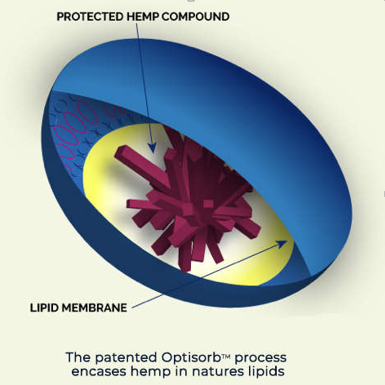 lipid-photo.png