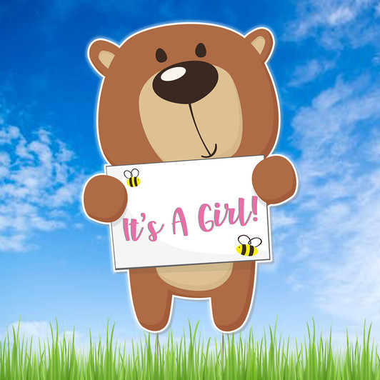 Welcome friends and family to your baby shower with our adorable teddy bear yard sign. Printed in full color on sturdy plastic. Waterproof. Easy to install. Free shipping.